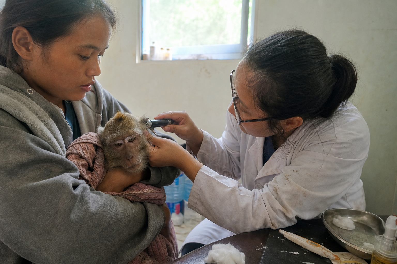 Volunteer-assisted veterinary exams